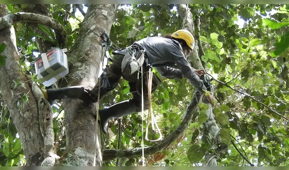 Un biólogo en la selva [Video]