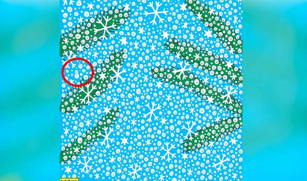 Desliza las imágenes para ver la solución de este complicado reto visual. Foto: captura de Facebook/Dudolf.com