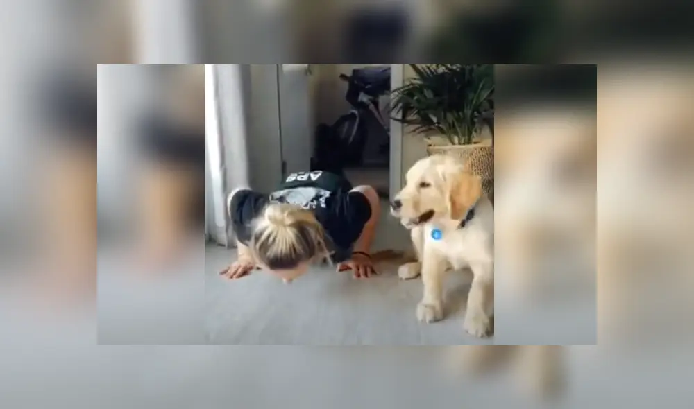 Desliza hacia la izquierda para ver la divertida escena viral de YouTube. Foto: ViralHog. Desliza hacia la izquierda para ver la divertida escena viral de YouTube. Foto: ViralHog.