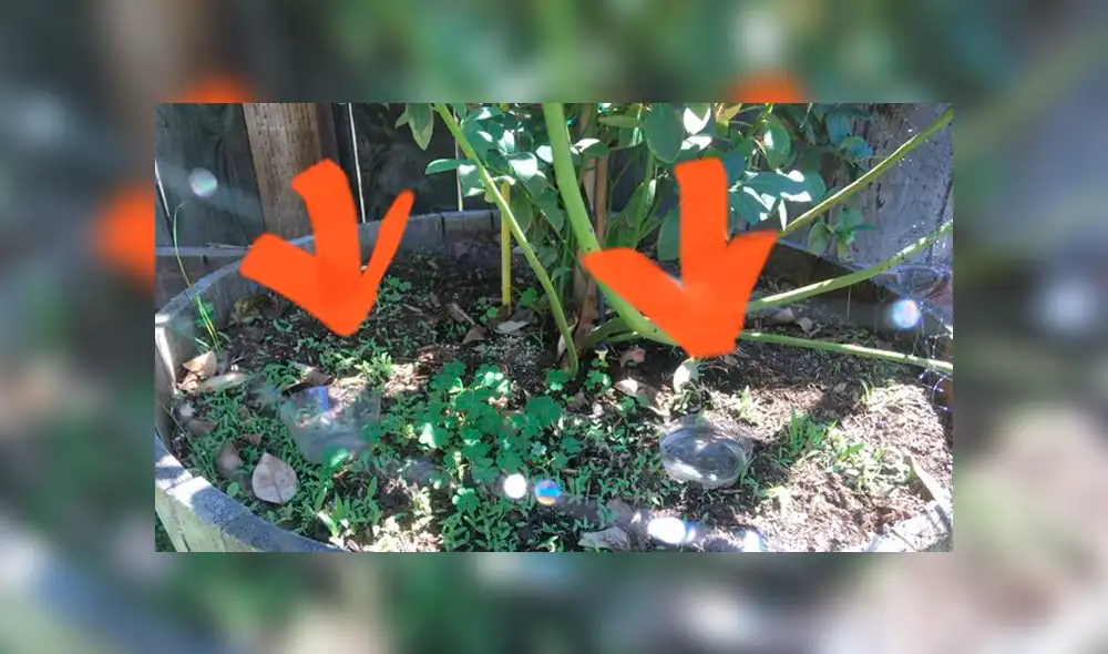 Desliza la imagen de Facebook para verlas todas. Desliza la imagen de Facebook para verlas todas.