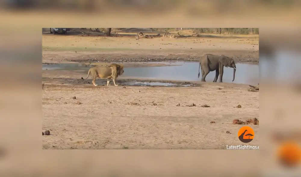 Desliza para ver el final de este video viral de YouTube. Foto: Captura.