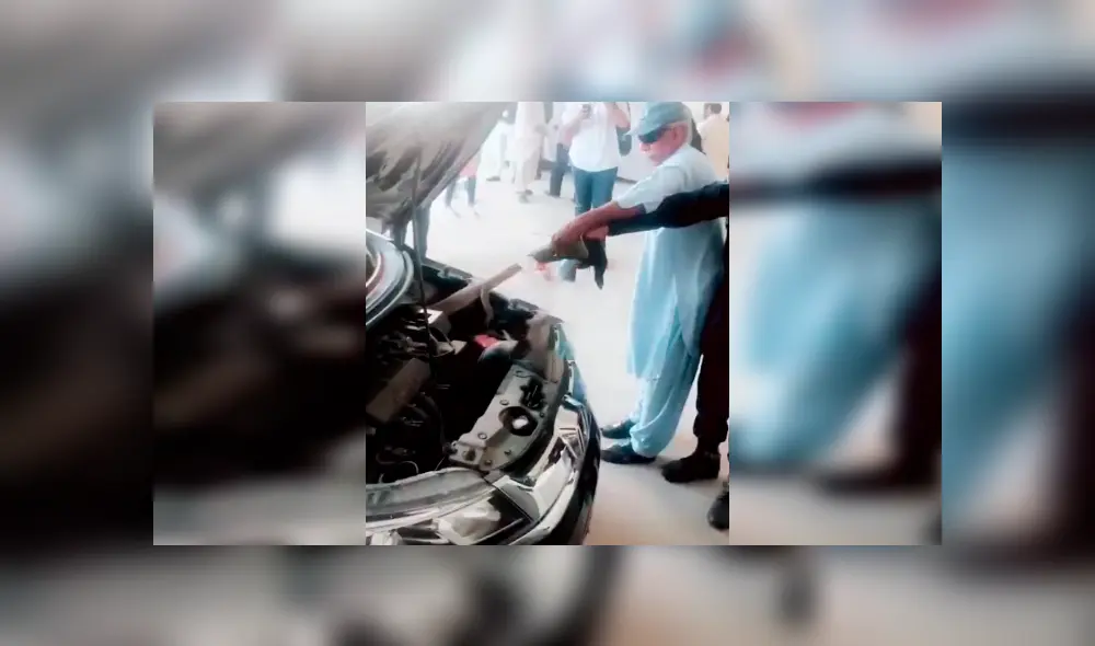 Mecánico revisa el interior de un carro y encuentra peligroso animal que vivía dentro. Mecánico revisa el interior de un carro y encuentra peligroso animal que vivía dentro.
