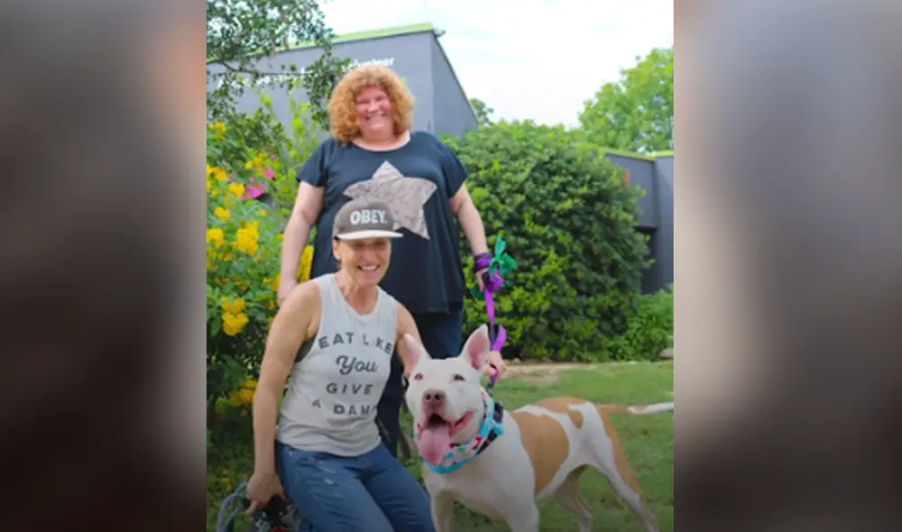 Desliza hacia la izquierda para ver las imágenes del video viral. Foto: Captura de Facebook.