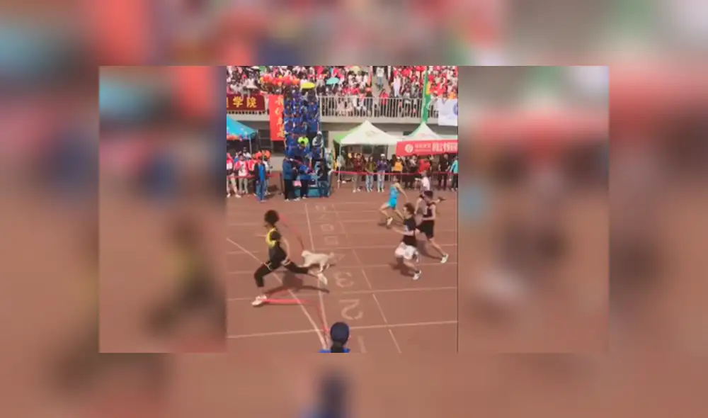 Youtube viral: Atletas quedan en ridículo por perro callejero que se coló en competencia [VIDEO]