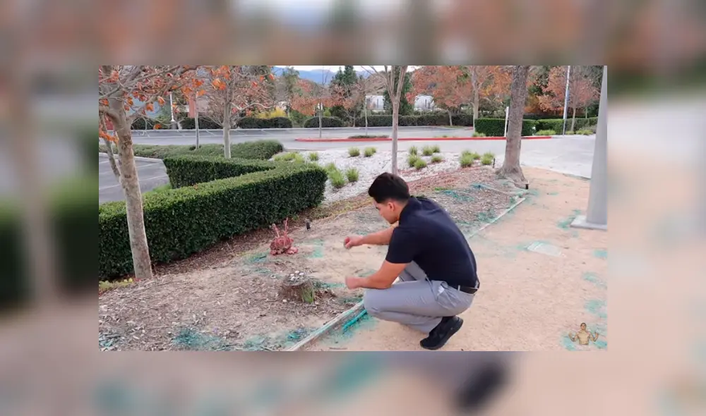 Desliza hacia la izquierda para ver el mensaje que encontró un fan en el lugar donde Paul Walker perdió la vida. Imagen viral de YouTube.