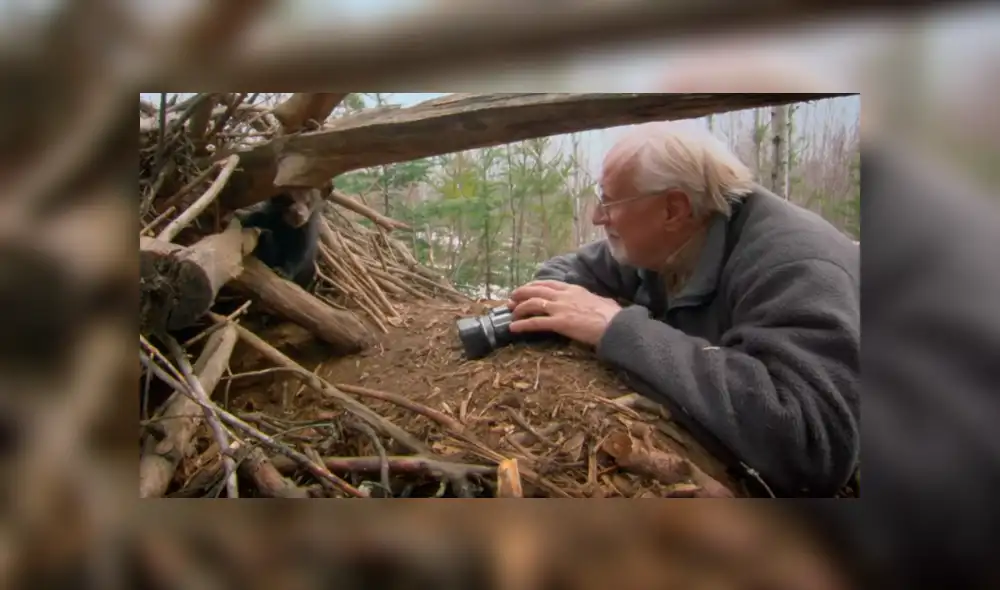 YouTube viral: valiente investigador ingresa a recinto de oso para grabar a las crías del animal [VIDEO]