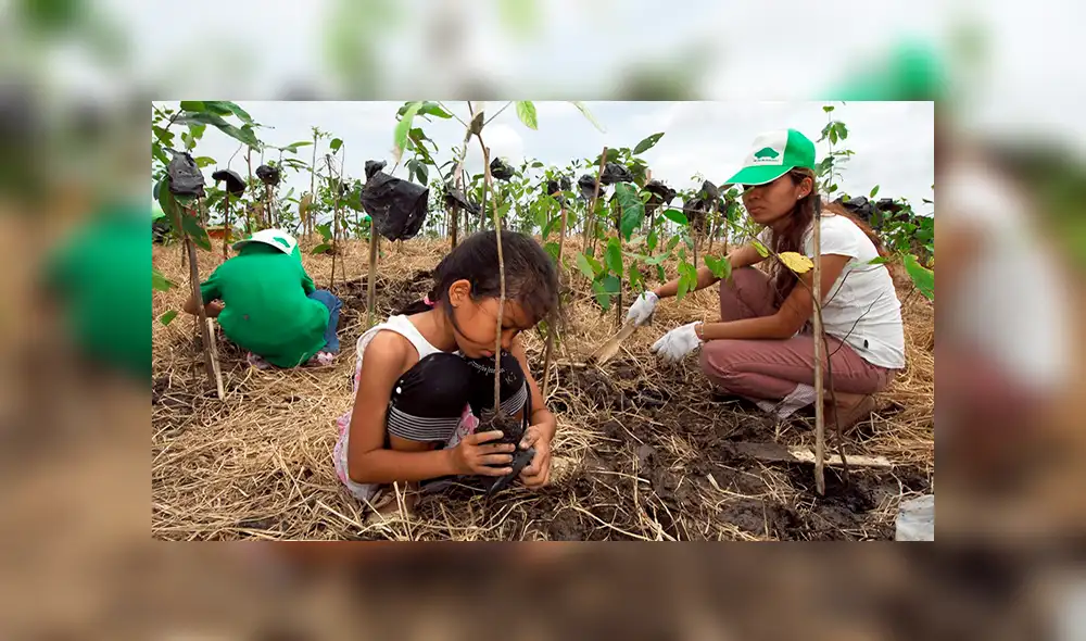 Niños y jóvenes de Filipinas plantarán 10 árboles antes de graduarse Niños y jóvenes de Filipinas plantarán 10 árboles antes de graduarse