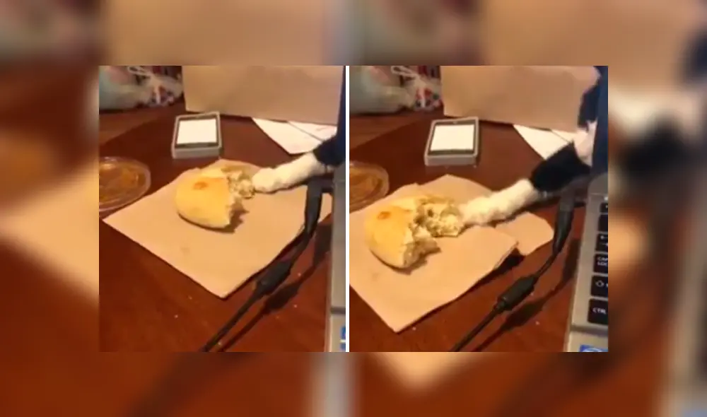 Desliza las imágenes hacia la izquierda para apreciar la sorpresa que se llevó un joven saber quien se robaba sus panes. Desliza las imágenes hacia la izquierda para apreciar la sorpresa que se llevó un joven saber quien se robaba sus panes.