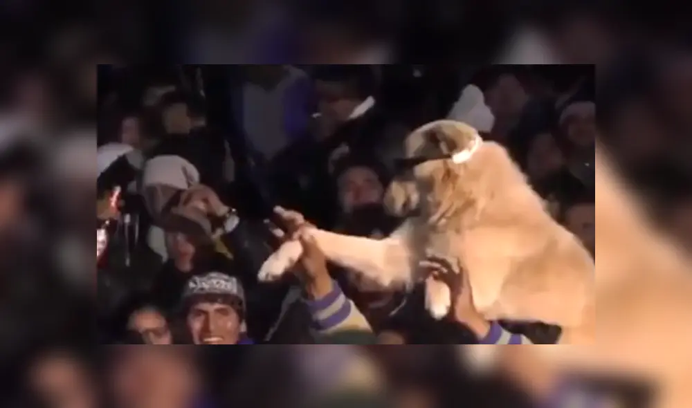 En Facebook, un señor sorprendió al acudir a un concierto de cumbia acompañado de su mascota y fueron captados bailando.