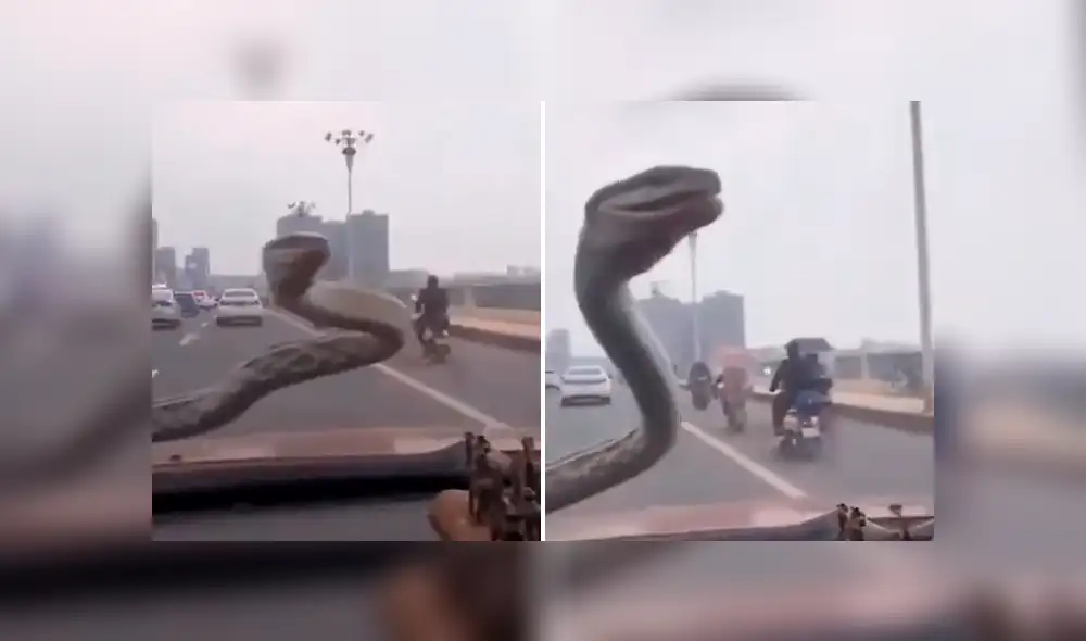 Desliza la imagen de Facebook para verlas todas.