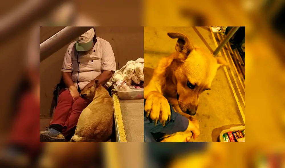 Comerciante ambulante es acompañada por un perro mientras duerme en los exteriores de la estación Parque Industrial. Foto: Facebook/Sarisha Sarangi