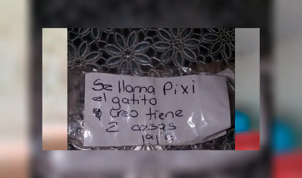 El felino levantó las sospechas de sus dueños cuando empezó a huir de su casa cada cierto tiempo. La peculiar historia se hizo viral en Facebook