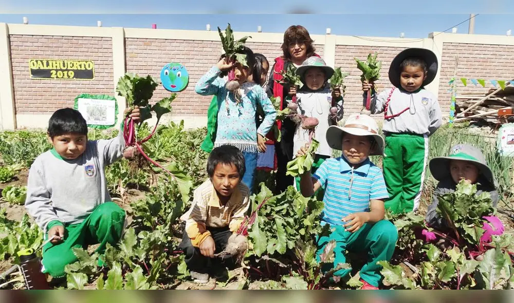 Niños de La Joya cosechan frutas y verduras para sus desayunos escolares.