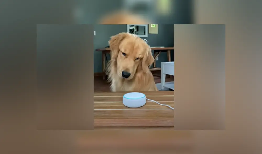 Desliza hacia la izquierda para ver las imágenes del viral de Facebook. Desliza hacia la izquierda para ver las imágenes del viral de Facebook.