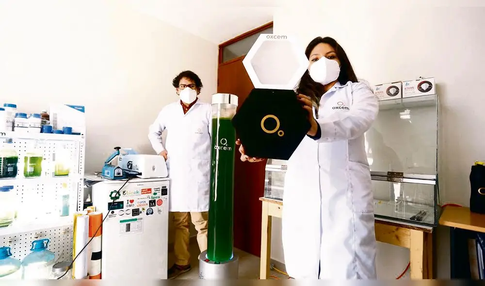 JÓVENES EMPRENDEDORES. Athali Castro y McDonald Villacorta fabrican lámparas que tienen el efecto de purifi car el ambiente de manera biológica.