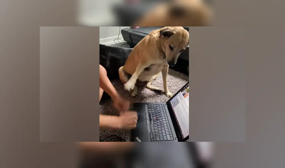 Desliza hacia la izquierda para ver las imágenes del viral de YouTube. Foto: Captura.