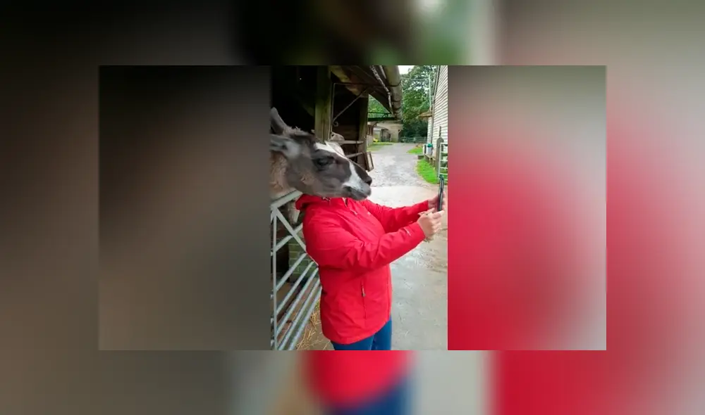 YouTube viral: mujer intenta tomarse ‘selfie’ con llama y esta ‘posa’ para salir bien en la fotografía