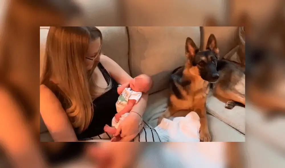 Cindy se acostumbra a su nueva vida como madre de Jaxson. Fuente: KTRK.