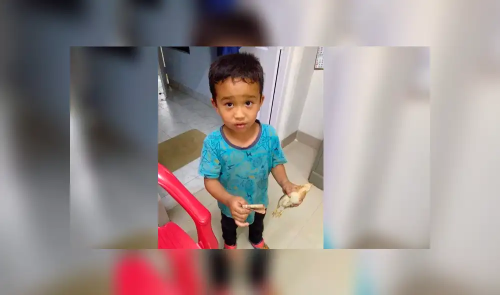 Facebook: niño atropelló a pollito y gasta sus ahorros para que enfermera lo salve [FOTOS]