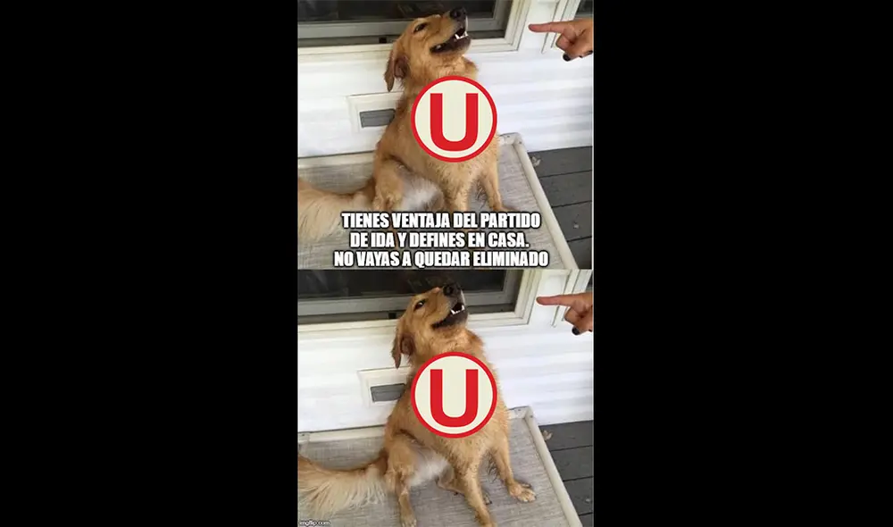 Universitario vs. Carabobo: graciosos memes inundan las redes antes del partido.