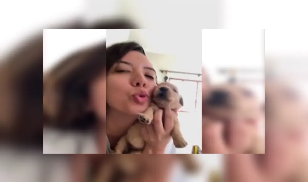 En Facebook, un cachorro de 19 días de nacido imitó los sonidos que realizó su dueña y cautivó con el resultado. En Facebook, un cachorro de 19 días de nacido imitó los sonidos que realizó su dueña y cautivó con el resultado.