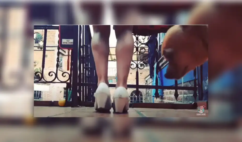 Desliza hacia la izquierda para ver más del video viral. Desliza hacia la izquierda para ver más del video viral.