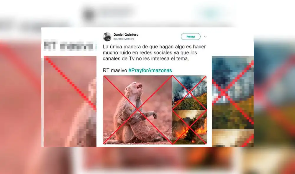 Imágenes falsas de los incendios en la Amazonía. Foto: AFP.