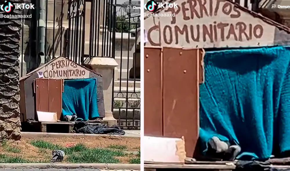 Los usuarios en redes expresaron su molestia al invadir un lugar destinado para las mascotas sin hogar. Foto: composición de LR/ TikTok/@Cataaaaxd
