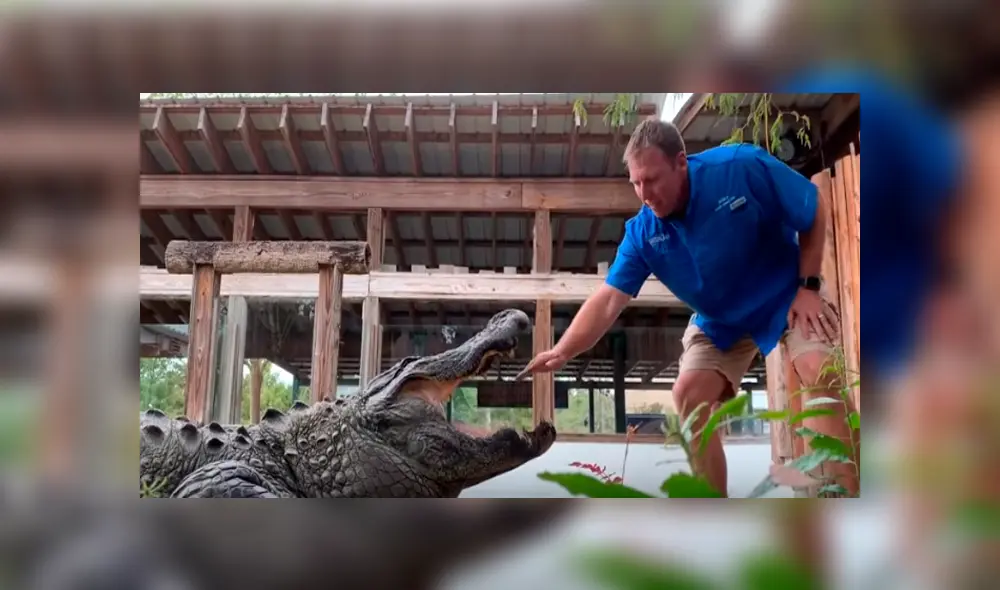 Desliza hacia la izquierda para ver el feroz ataque del cocodrilo. Escena que es viral en YouTube.