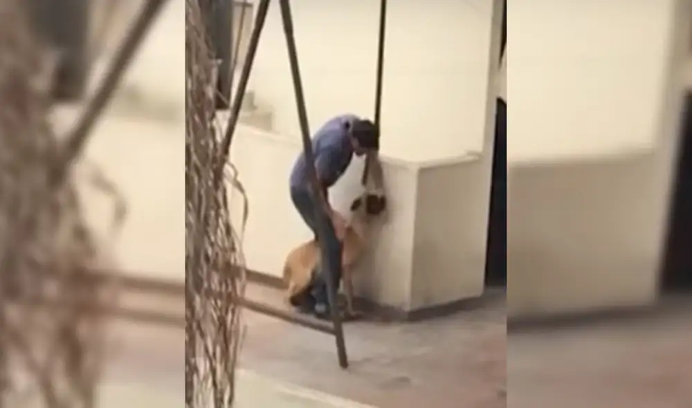 Enrique Larriva es el hombre que fue captado cuando maltrataba a su mascota. Foto: captura de Panamericana