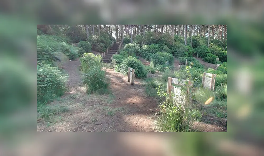 Google Maps: cámaras captan peligrosa escena tras ingresar a zona de guerra en Estados Unidos [FOTOS]