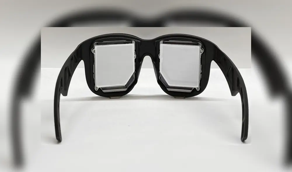 Solo pesan 10 gramos. Foto: Facebook.