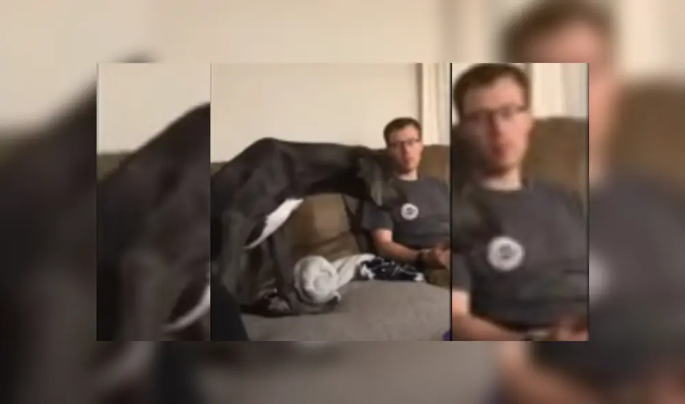 Desliza hacia la izquierda para ver más del video viral Desliza hacia la izquierda para ver más del video viral