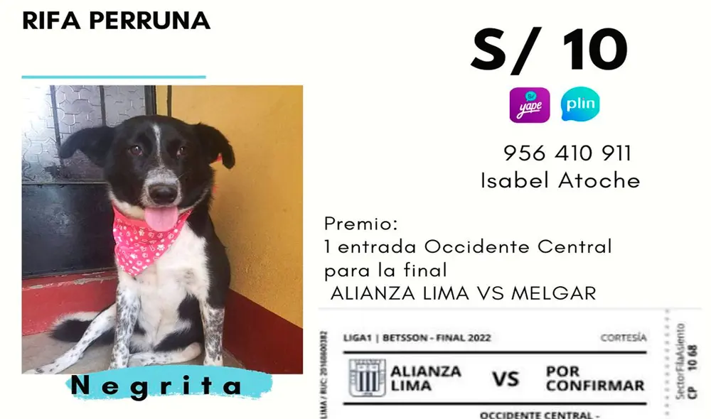 Negrita se encuentra a la espera de los donativos. Foto: difusión