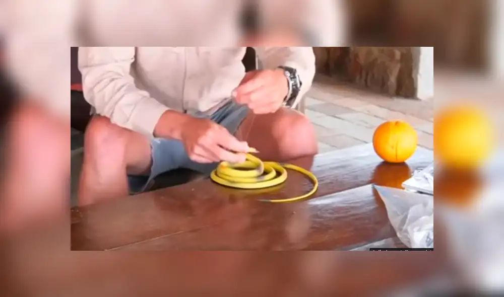 YouTube viral: monos caen en la ingeniosa trampa de un hombre y corren espantados [VIDEO]