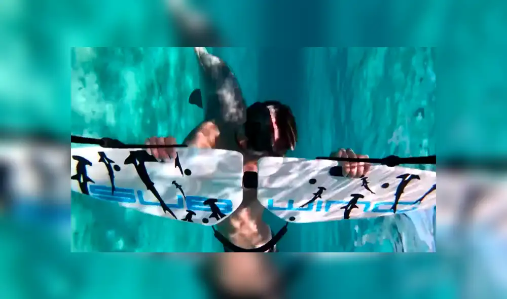 Facebook viral: delfín nada junto a muchachos que practicaban deporte acuático en isla del Caribe [VIDEO]