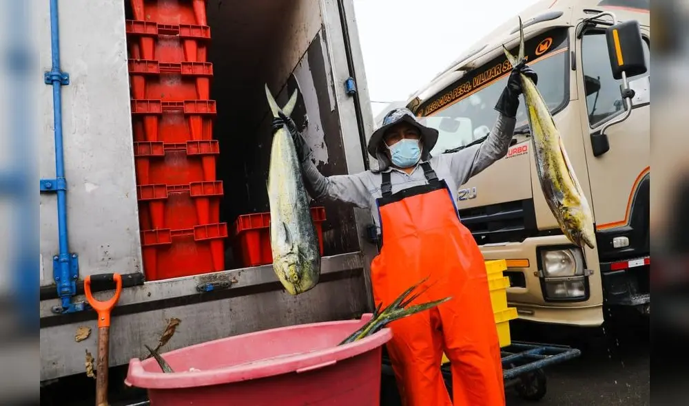 Pesca perico Foto: Produce