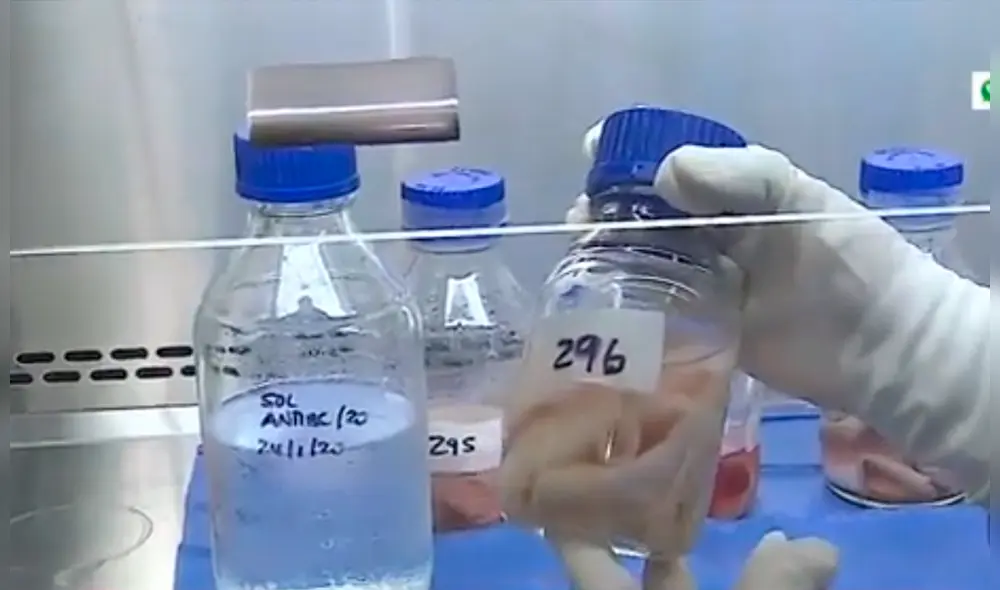 El hecho dejó a decenas de heridos y cobró la vida de al menos 15 personas. (Foto: Captura video) El hecho dejó a decenas de heridos y cobró la vida de al menos 15 personas. (Foto: Captura video)