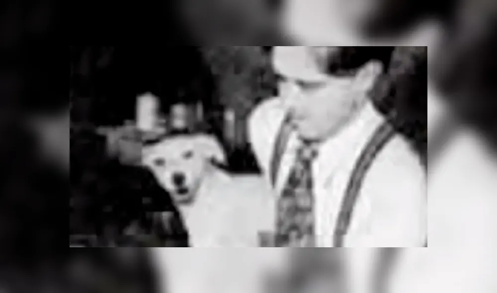 YouTube viral: revelan más datos sobre el 'Proyecto Lázaro' uno de los experimentos más aterradores [VIDEO]