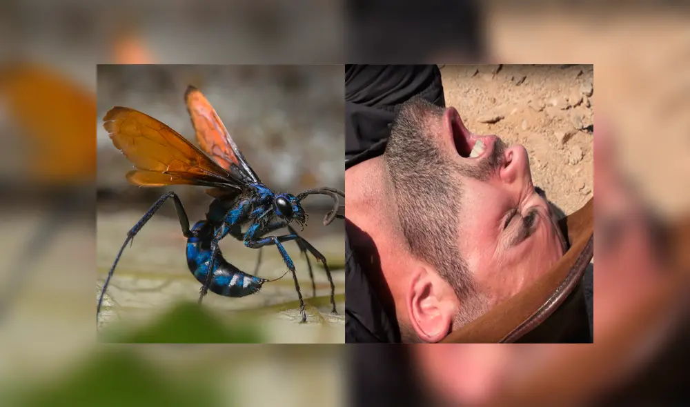 Desliza para ver los momento más importantes del impactante video que se hizo viral en YouTube.