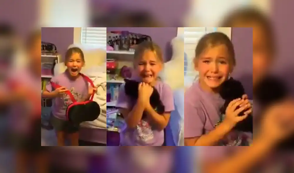 Facebook: niña se emociona hasta las lágrimas cuando le regalaron un gatito [VIDEO]