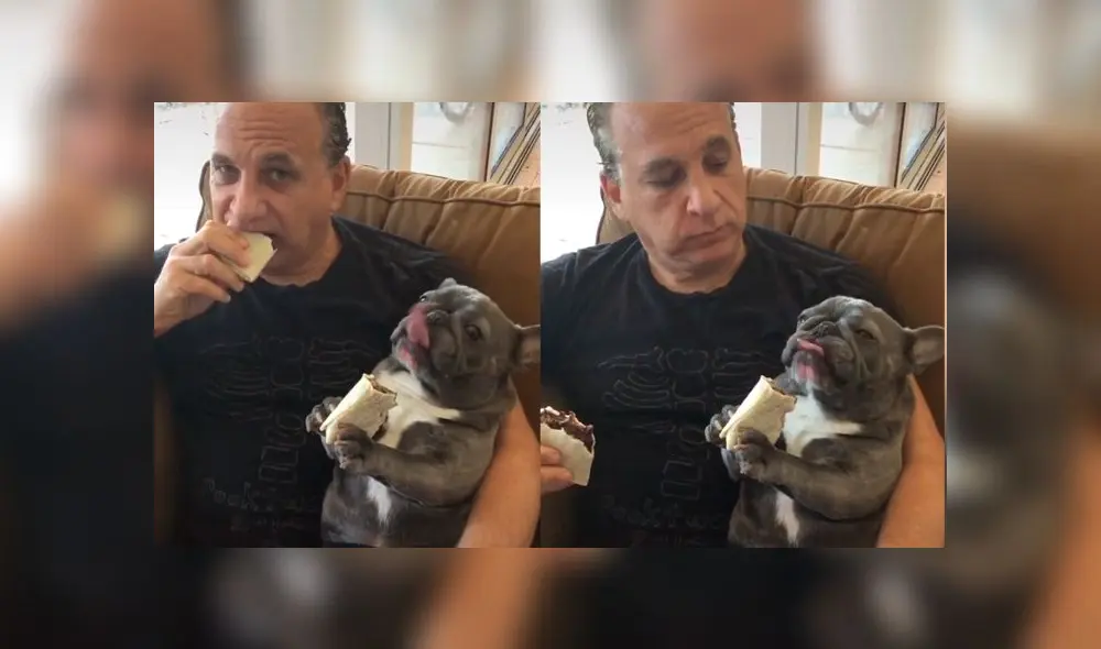 Desliza las imágenes para ver la divertida escena que logró registrar una joven mujer entre su padre y su nueva mascota. Foto: Bluenjy/TikTok