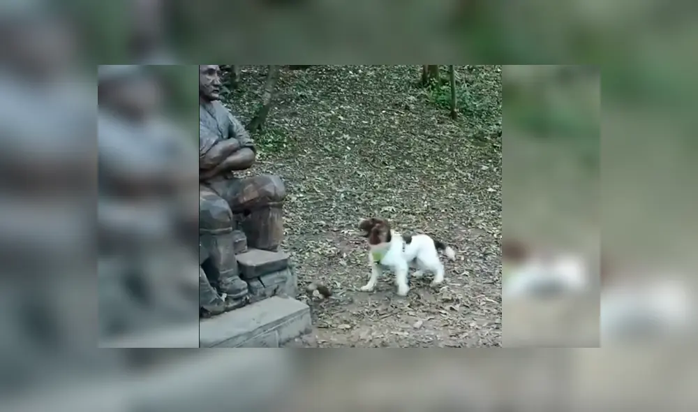 En Facebook, un tierno perro se emocionó con una estatua al creer que se trataba de su fallecido dueño.