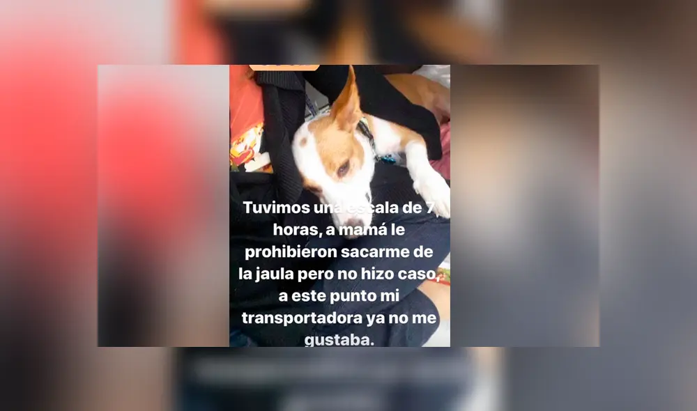 Desliza para ver los detalles de esta historia que conmovió a todos en Facebook. Foto: Captura. Desliza para ver los detalles de esta historia que conmovió a todos en Facebook. Foto: Captura.