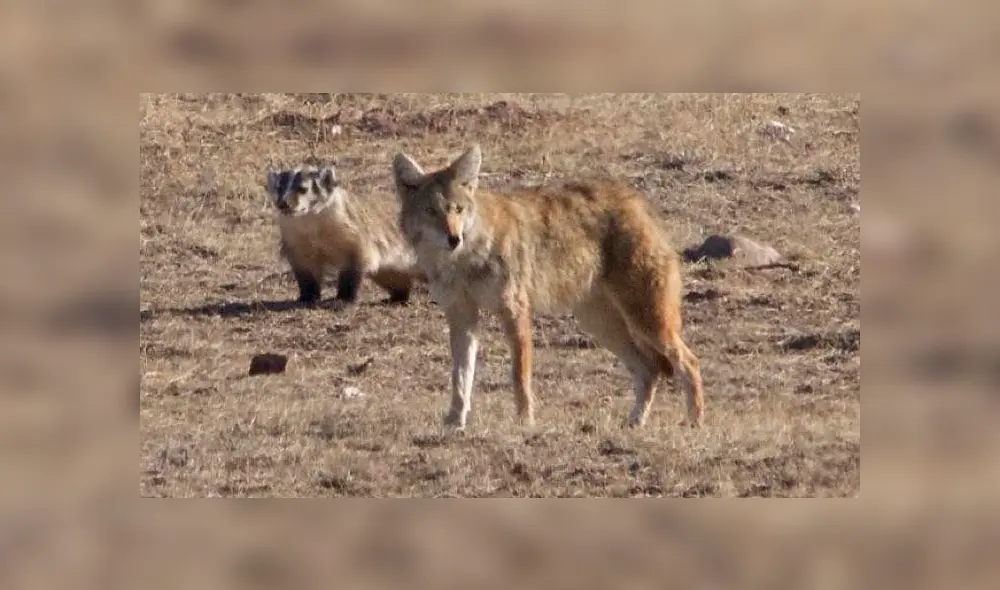 Desliza para ver los detalles del video viral publicado en YouTube. Foto: Captura.