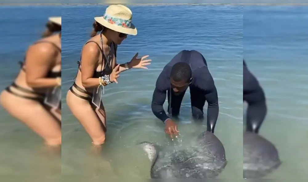 Rosángela Espinoza sufre peligroso momento al cargar una mantarraya [VIDEO]