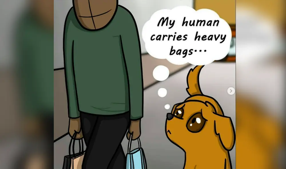 Facebook viral - animales