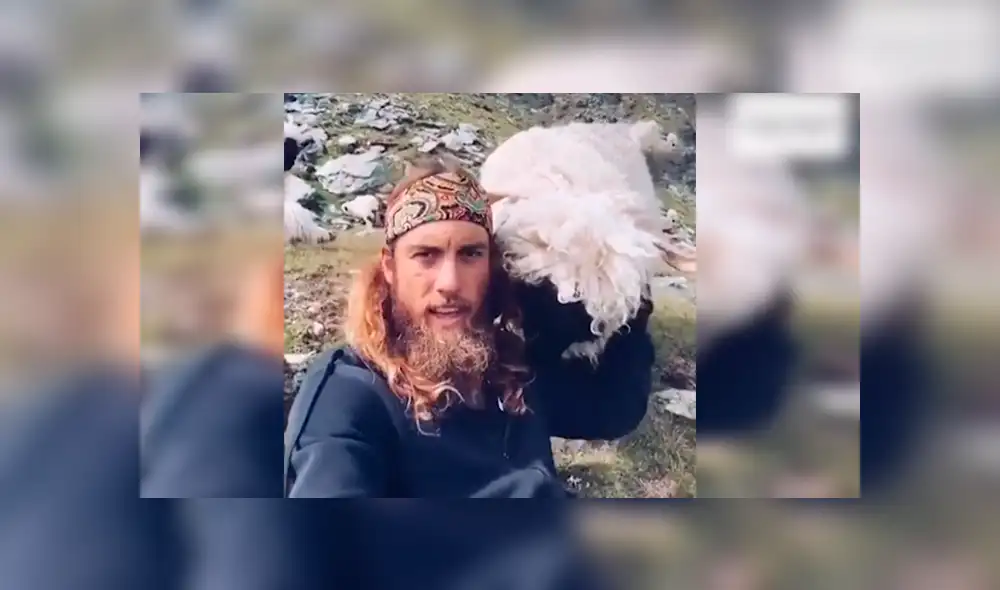 En YouTube, un joven daba un paseo por los campos de Suiza y encontró un enorme animal peludo. En YouTube, un joven daba un paseo por los campos de Suiza y encontró un enorme animal peludo.