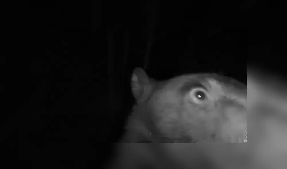 Desliza hacia la izquierda para ver las imágenes del viral de YouTube. Foto: Captura.