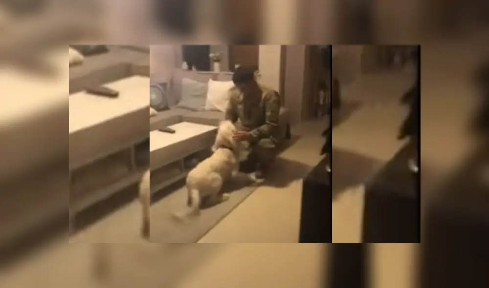 Desliza hacia la izquierda para ver más del video viral Desliza hacia la izquierda para ver más del video viral